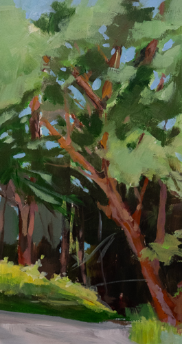 Landscape painting of a tree with warm reddish-brown branches and lush green foliage along a sunlit path, by Canadian landscape artist Joanna Aplin.