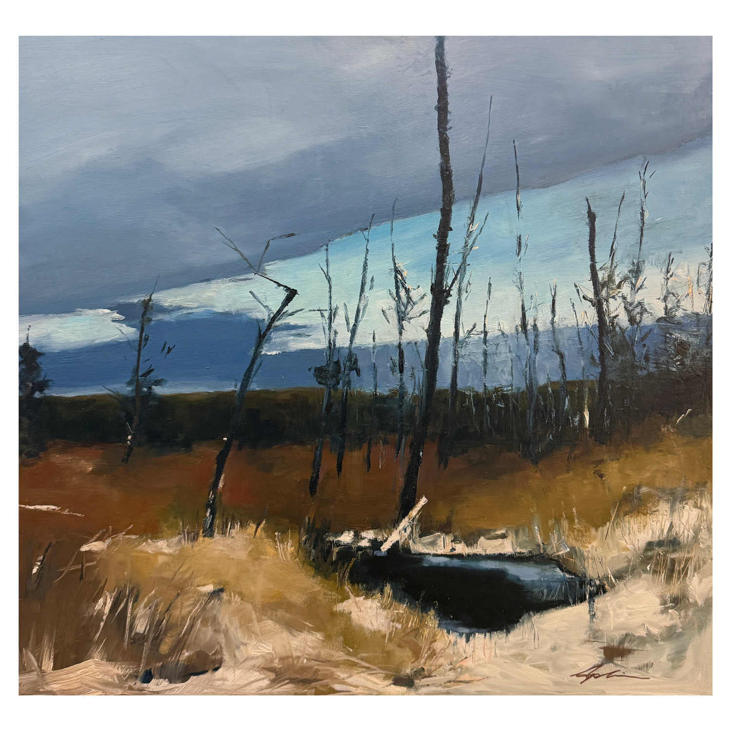 Landscape painting of a winter marsh scene with bare trees rising from russet and golden grasses, a dark pool of water in the foreground, and dramatic grey clouds breaking to reveal pale blue sky, by Joanna Aplin, Owen Sound artist.