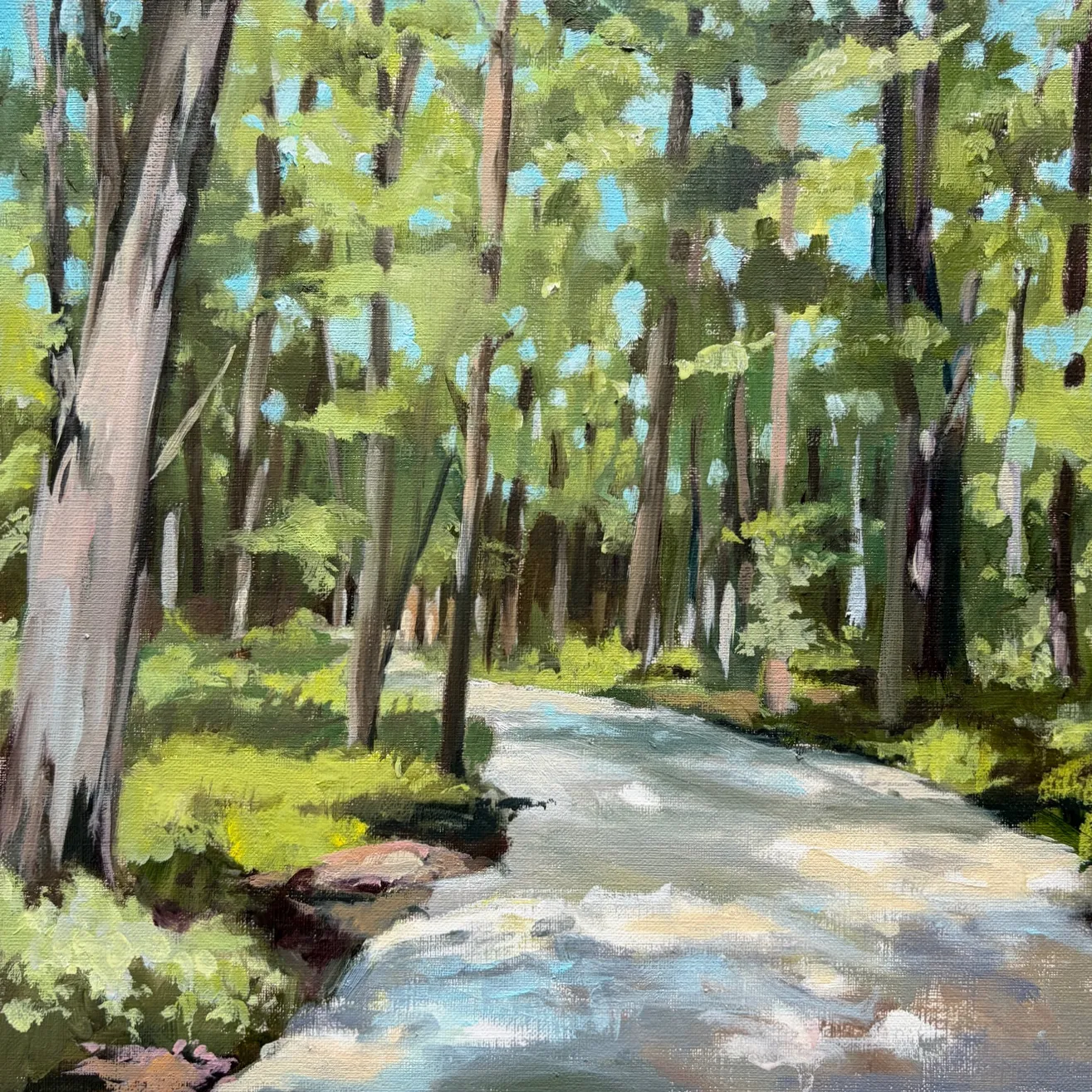 Sunlit woodland with slender tree trunks framing a pale, winding stream beneath bright green leaves and blue sky.