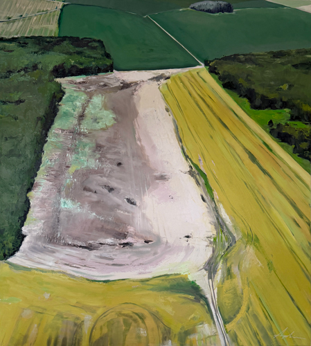 Aerial view of broad green and ochre farm fields divided by dark hedgerows and a sweeping pale, freshly worked strip.